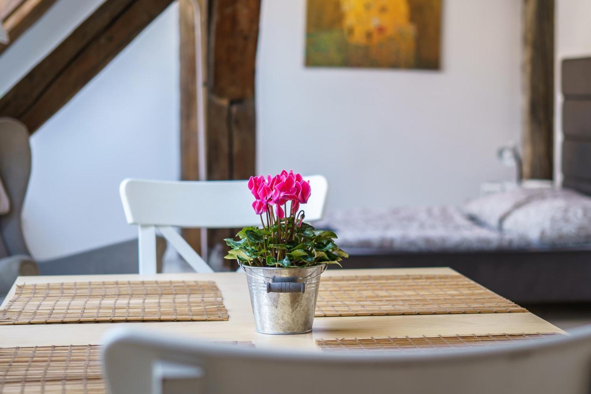 Central Living Apartments - Berggasse Wina Bagian luar foto