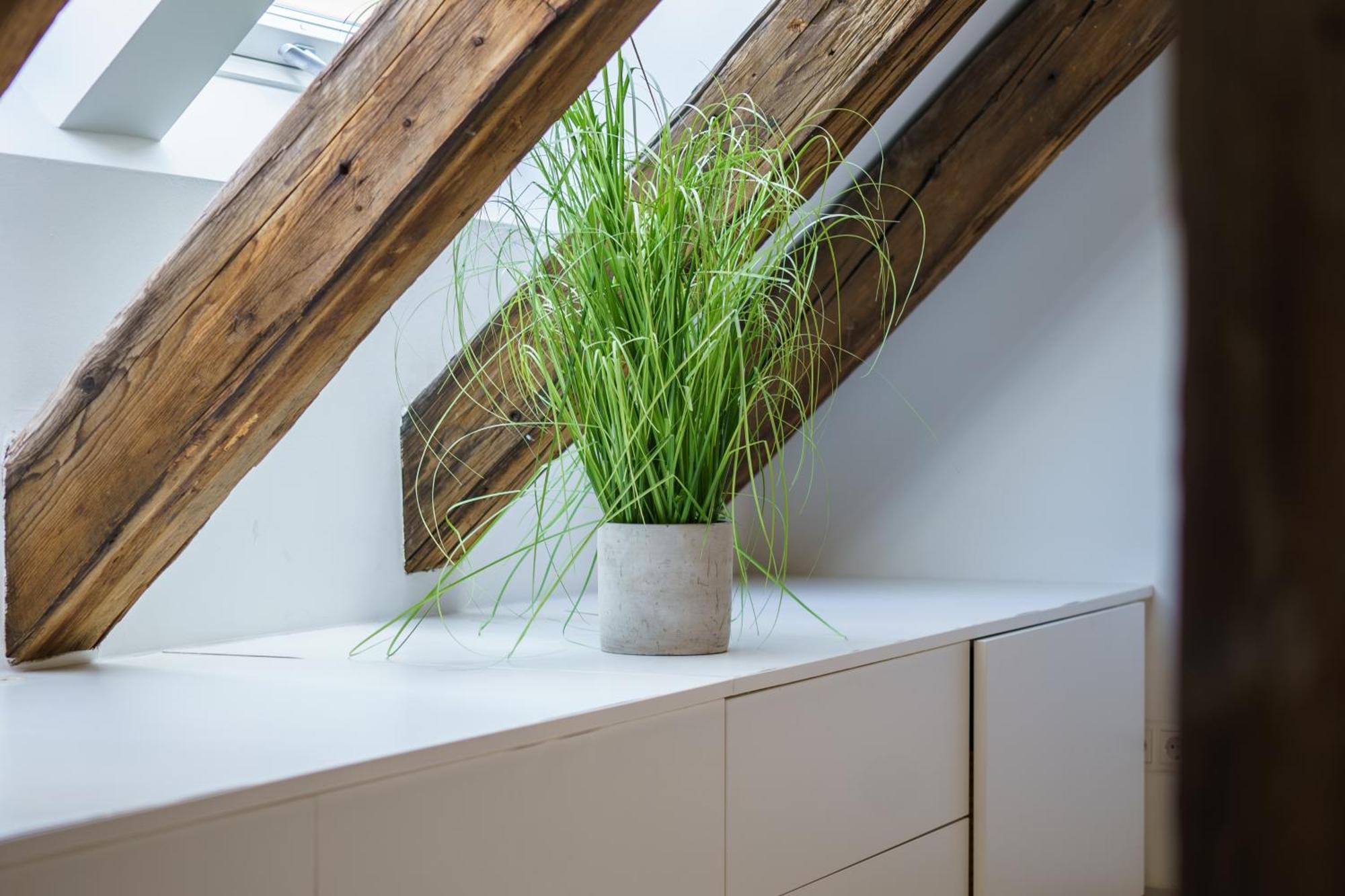 Central Living Apartments - Berggasse Wina Bagian luar foto